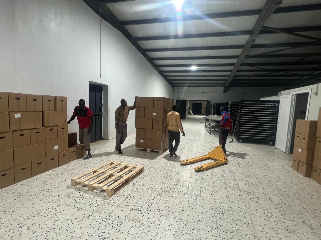 عمال الفرز والتجهيز