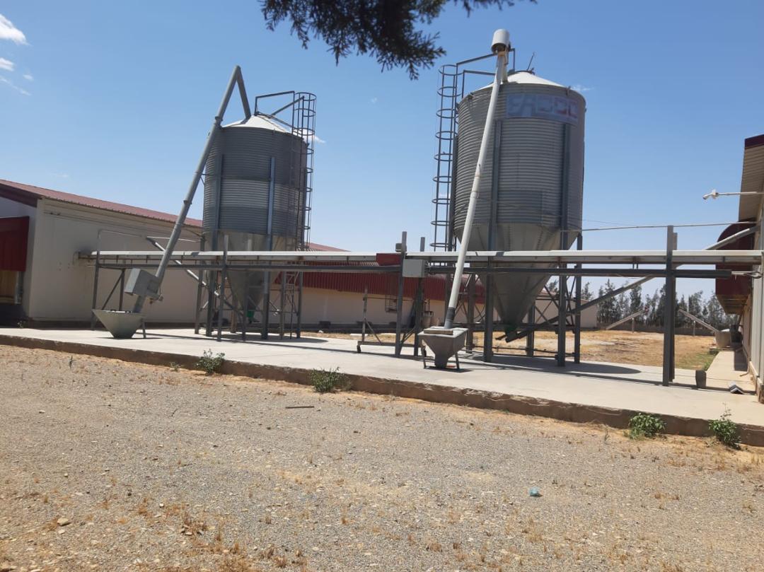 منظومة الأعلاف - صورة 2